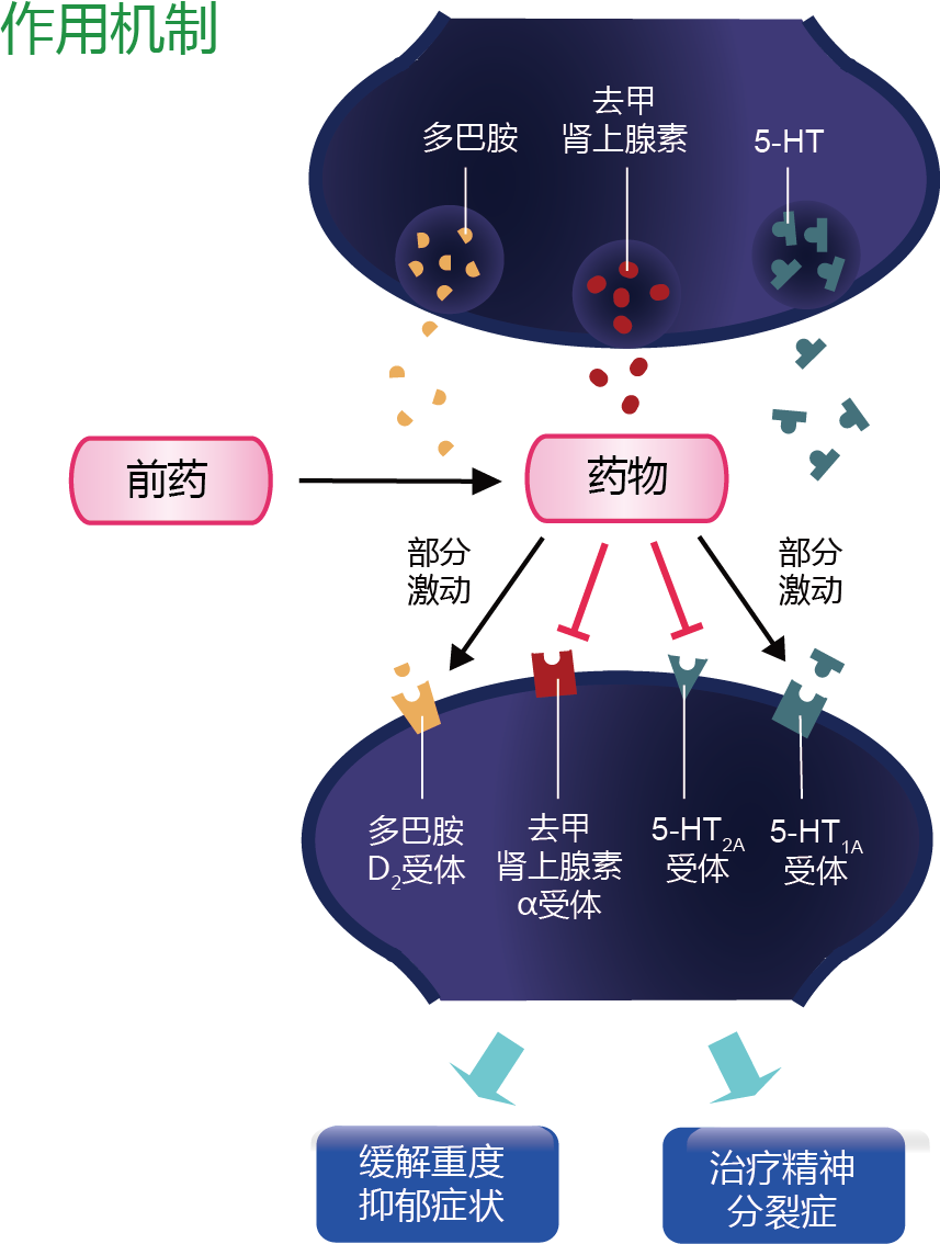 深度解读:2015年全球首批精神疾病nce